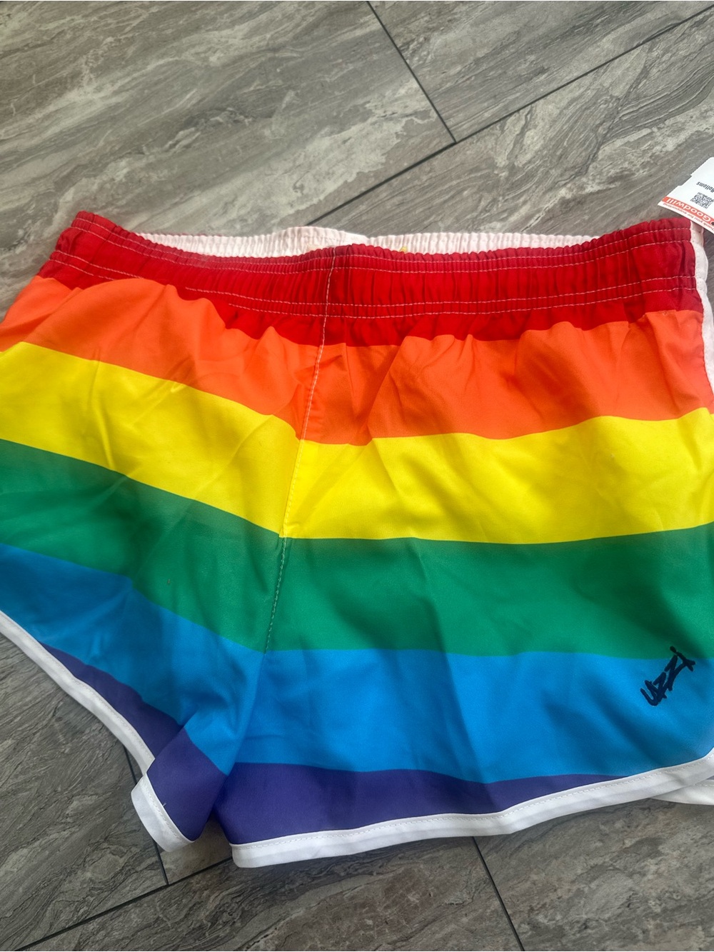 Men's Rainbow Stripe Swim Shorts - Multicolor
